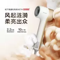 松下(Panasonic)吹风机高速大风力家用低噪音速干电吹风负离子护发大功率护发吹风筒缤纷筒情人节礼物 EH-NE7H