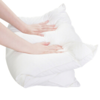 无印工坊梳理打卷枕头单只枕芯48X74 NMSLDJ4874750W