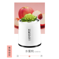 香百年车载香薰车用固体香膏摆件除异味空气清新剂 JY-128多肉水蜜桃-中香