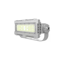 欧辉照明 (OHUIZAOMIN)OHSF9162-100W LED三防灯 套 1 付款后15天内发货