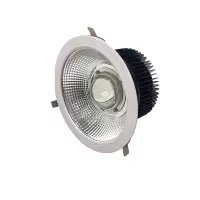 OHUIZAOMIN 筒灯 OHSF9158E-100W 个