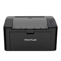 奔图(PANTUM)P2509 A4黑白激光单功能打印机企业家庭家用办公打印机高效打印机机身小巧 文档作业试卷材料打印机1