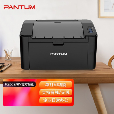 奔图(PANTUM)P2500NW A4黑白激光单功能打印机无线WIFI网络手机平板无线连接企业家庭家用办公打印机高效打印机机身小巧 打印机替代P2206NW 2