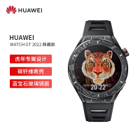 华为(HUAWEI) WATCH GT 2022典藏款 华为手表 智能手表 亮黑色