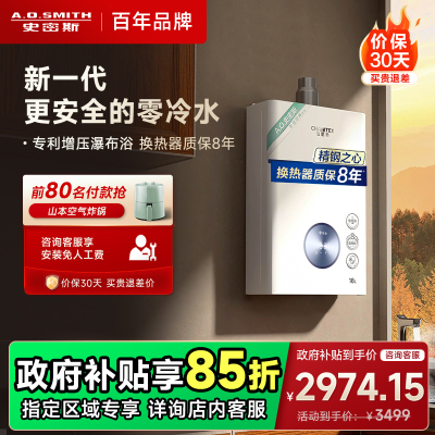 AO史密斯16升零冷水燃气热水器佳尼特 不锈钢换热器包8年 负压更安全 恒温大水量 JSQ31-TJ1