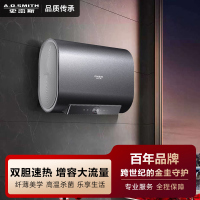 AO史密斯佳尼特速热双胆家用大容量银河热水器HTD