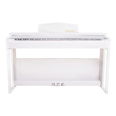 星海自营(HSINGHAI)电钢琴 XD-20智能数码88键重锤力度键盘立式电子钢琴