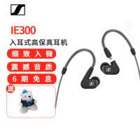 森海塞尔 SENNHEISER IE300高保真HiFi音乐耳机 有线耳挂入耳式耳机黑色