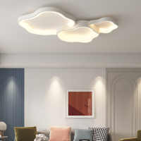 惜光者现代北欧客厅吸顶灯简约大厅LED灯卧室房间网红灯个性创意灯具