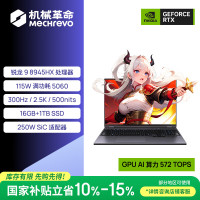 机械革命蛟龙16Pro R9 8945HX/RTX5060/300Hz/2.5K/苍岩灰 16 1T