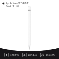 Apple Pencil (第一代) 包含转换器 (用于搭配第十代 iPad 进行配对和充电)