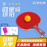 巨龙(GIANTDRAGON)  乒乓球拍 乒乓球成品拍四星乒乓横拍双面反胶快攻单拍学生初学者4星成品拍 训练用 赠拍套