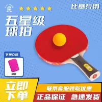 巨龙(GIANTDRAGON)  乒乓球拍乒乓球成品拍五星乒乓横拍单正反胶快攻单拍成套含拍袋、专业选手比赛竞赛5星成品拍