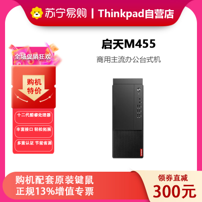 联想(Lenovo)启天M455 商用小机箱 定制英特尔酷睿 定制(i5-12500/16GB/1T+512G/ 无光驱/集显 Win11)