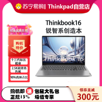ThinkPad 联想ThinkBook 16 2023酷睿版16英寸大屏学生游戏娱乐商务办公笔记本电脑 6MCD 2.5K高色域屏 定制i7-13700H 64G内存 2T固态