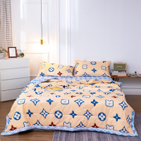 夏天空调被纺棉夏凉被水洗棉夏被双人夏季薄款被子可机洗单人被