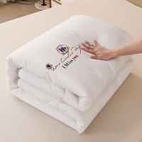 被子冬被大豆纤维被家纺被芯双人春秋被棉被宿舍单人被褥