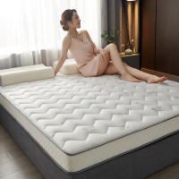 乳胶记忆海绵床垫家用折叠式单双人软垫子宿舍租房榻榻米