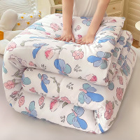 被子冬被棉被加厚保暖春秋被被芯空调被单人宿舍夏凉被双人盖被