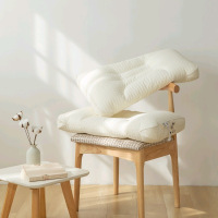 A类护颈椎枕芯可水洗分区PE软管枕头不变形不塌陷酒店用