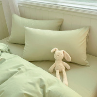 2023春季磨毛枕套纯色枕头套全棉家用单人长方形枕芯套