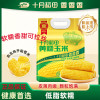 十月稻田黄糯玉米220g*8根两袋