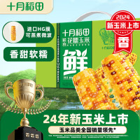 十月稻田鲜食花糯玉米220g*10根东北甜糯新鲜嫩玉米棒