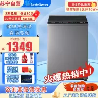 小天鹅(LittleSwan)TB100V23DB 10公斤 变频全自动 健康免清洗直驱变频 一键脱水 波轮洗衣机