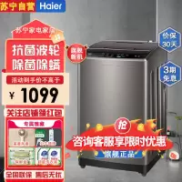 海尔(Haier)EB100Z109波轮洗衣机全自动10公斤大容量 二级能效 租房除菌除螨家用