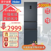 海尔(Haier)BCD-217WGHC3E9C9U1 217升家用小型薄一级能效变频风冷无霜全空间电冰箱