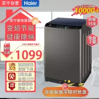 海尔(Haier) 10公斤大容量 波轮洗衣机全自动 直驱变频 蝶型水流 除螨洗租房神器EB100B20Mate1