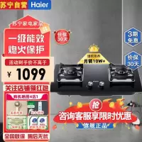海尔(Haier)JZT-Q2BE5(12T)天然气燃气灶精准火候控制系统,5.2kW大火力,熄火保护,五重防爆技术