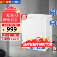 海尔(Haier)BC/BD-142GHDT 142升家用卧式冰柜 冷柜 小冰箱 减霜80% 一级能效 断电保护 带脚轮