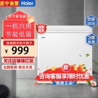 海尔(Haier)BC/BD-200GHDT 200升 家用卧式冰柜 冷柜 小冰箱减霜80%一级能效断电保护带脚轮