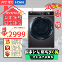 海尔(Haier)EG100MATE8SU1 直驱变频10KG滚筒洗衣机全自动一级能效晶彩触控屏玉墨银 [晶彩直驱]