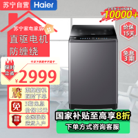 海尔(Haier) ES100B36Max5 10KG大容量波轮洗衣机高颜值 防缠绕更洁净桶自洁 一级能效