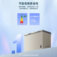美菱金色顶开门卧式冷柜BCD-217DTXP 217升直冷节能一级能效独立放置省电神器