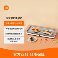 小米米家双口电磁炉双灶聚会电烤盘家用烤肉多功能料理火锅聚餐