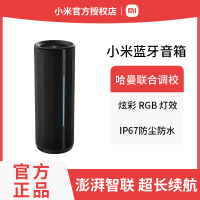 小米Xiaomi 蓝牙音箱 声学小钢炮小米澎湃智联 户外防尘防水露营NFC音响