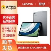 联想(Lenovo)异能者 生态品牌 K30 12G+256G 太空灰 WIFI+4G插卡版 12.6英寸平板电脑 4G通话全网通游戏娱乐TUV爱眼 2.5K IPS屏