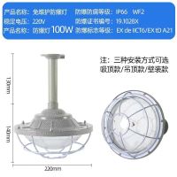 欧普京led防爆灯仓库厂房加油站车间工厂防水灯罩隔爆型照明灯100W 100W 吊杆式