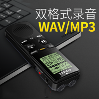 声力士 E10 双供电录音笔专业高清降噪远距随身会议迷你录音器 8G 单个装