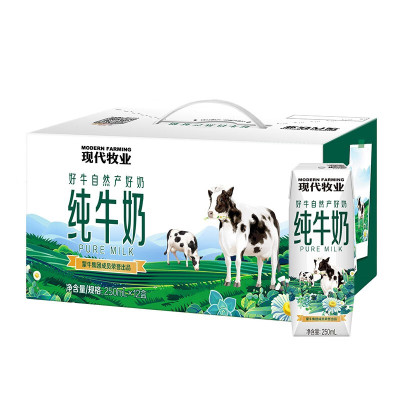 现代牧业纯牛奶250mlXZ