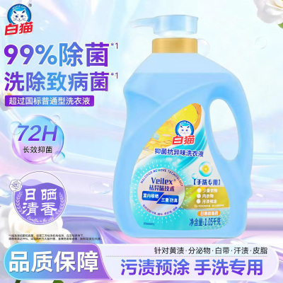 白猫洗衣液预涂手洗内衣洗衣液2斤抑菌除异味去血渍日晒清香大桶家用
