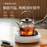 小熊(Bear)迷你电陶炉煮茶炉煮茶器 围炉养生黑茶花茶泡茶蒸茶器不挑器具ZCQ-P12H5