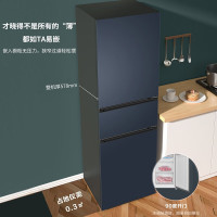 海尔(Haier)冰箱三门BCD-218WGHC3R9B9