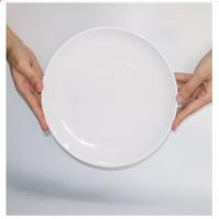 一痕沙 A5食品级密胺盘子浅盘10英寸/自助餐圆盘菜盘商用仿瓷餐盘圆形 单个装