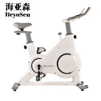 海亚森 TKTY1002 电磁控动感单健身车白色(计价单位:台)