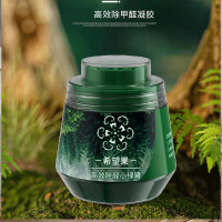 去除甲醛小绿罐新房家用清除剂