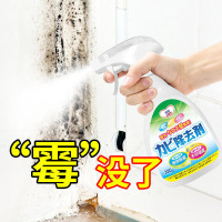 墙体除霉剂家用室内墙壁强力除霉